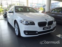 BMW 528i 2.0 AT 2016 - Bán ô tô BMW 528i 2.0 AT đời 2016, màu trắng