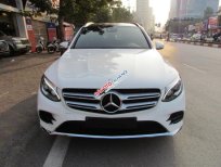 Mercedes-Benz Smart GLC300 2016 - Mercedes GLC300 2016 màu trắng