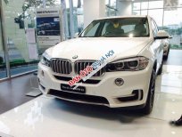 BMW X5 Xdrive 35I 2017 - Bán BMW X5 Xdrive 35I đời 2017, màu trắng, nhập khẩu
