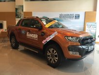 Ford Ranger Wildtrak 3.2 AT 4x4 2017 - Chợ ô tô Lạng Sơn Bán Ford Ranger 2017 Wildtrak 3.2 giao xe ngay, hỗ trợ vay vốn ngân hàng 80%
