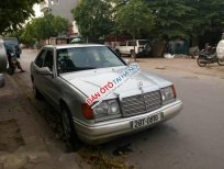 Mercedes-Benz E class 1995 - Bán Mercedes E230 đời 1995, màu bạc, nhập khẩu chính hãng số sàn