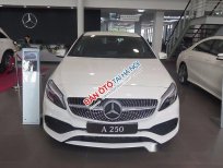 Mercedes-Benz A class A250 2017 - Bán xe Mercedes A250 đời 2017, màu trắng, nhập khẩu nguyên chiếc