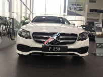 Mercedes-Benz E250 AT 2017 - Cần bán Mercedes đời 2017, màu trắng