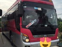 Hyundai Universe PRIME 2011 - Bán xe Hyundai Universe EXpress Prime nhập khẩu nguyên chiếc từ Hàn Quốc 2011