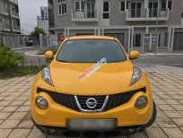 Nissan Juke 1.6AT 2013 - Cần bán Nissan Juke 1.6AT đời 2013, màu vàng, nhập khẩu