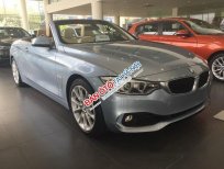 BMW 4 Series 428i   2017 - Cần bán BMW 4 Series 428i đời 2017, màu xám, nhập khẩu nguyên chiếc