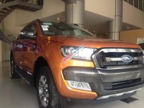 Ford Ranger XL 2017 - Bán Ford Ranger 2017 khuyến mại tốt nhất, vay trả góp 90% lãi suất 0,6% tháng. Hotline 0986812333
