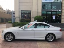 BMW 5 Series 528i 2012 - Bán BMW 5 Series 528i đời 2012, màu trắng, nhập khẩu
