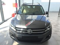 Volkswagen Tiguan 2017 - Ưu đãi vàng - Nhanh tay sở hữu Volkswagen Tiguan màu xám tại VW Long Biên - Hotline: 0948686833