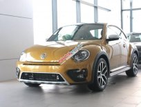 Volkswagen Beetle Dune 2017 - Cần bán Volkswagen Beetle Dune sản xuất 2017, màu vàng, nhập khẩu
