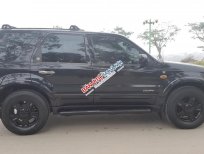 Ford Escape XLT 2004 - Bán xe Ford Escape AT XLT 2004 đẹp và ít sử dụng