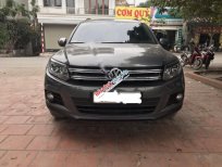 Volkswagen Tiguan 2.0TSI 2014 - Cần bán Volkswagen Tiguan 2.0TSI 2014, màu xám, nhập khẩu, 850 triệu