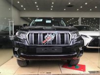 Toyota Prado VX 2018 - Cần bán xe Toyota Prado VX đời 2018, màu đen, nhập khẩu