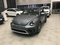 Volkswagen Beetle Dune 2.0 TSI 2018 - Cần bán xe Volkswagen Beetle Dune 2.0 TSI 2018, màu xám, nhập khẩu