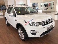 LandRover Discovery Sport HSE Luxury 2018 - Bán xe LandRover Discovery Sport HSE Luxury SX 2018, màu trắng, nhập khẩu 