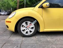 Volkswagen Beetle 2007 - Bán ô tô Volkswagen Beetle đời 2007, màu vàng, xe nhập số sàn, 450tr