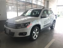 Volkswagen Tiguan 2.0 AT 2016 - Bán Volkswagen Tiguan 2.0 AT sản xuất 2016, màu trắng, xe nhập
