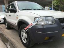 Ford Escape  AT  2003 - Bán xe Ford Escape AT sản xuất 2003, màu trắng, giá tốt