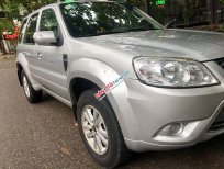 Ford Escape XLS 2010 - Cần bán xe Ford Escape XLS năm sản xuất 2010, màu bạc, giá chỉ 425 triệu