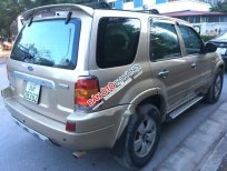 Ford Escape  Limited  2003 - Cần bán xe Ford Escape Limited năm sản xuất 2003, giá tốt