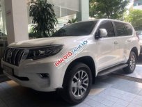 Toyota Prado   VX  2018 - Cần bán xe Toyota Prado VX năm sản xuất 2018, màu trắng, nhập khẩu