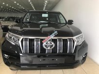 Toyota Prado VX 2018 - Bán Toyota Land Cruise Prado VX đời 2019, màu đen, xe và giấy tờ giao ngay, đăng ký trong ngày. LH: 0906223838