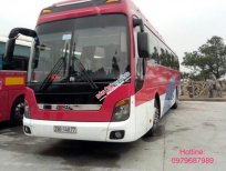 Hyundai Universe Xpress Luxury 2011 - Bán lại xe Hyundai Universe Xpress Luxury 2011, màu đỏ, nhập khẩu