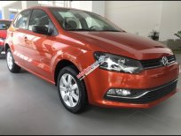Volkswagen Polo 2017 - Bán Polo hatchback 2017 nhập khẩu, LH 0921133889 để có giá mềm nhất