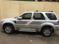 Ford Escape AT 2011 - Bán xe Ford Escape sản xuất 2011 màu bạc, giá tốt