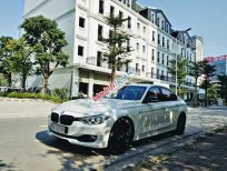BMW 3 Series 320 2012 - Bán BMW 3 Series 320 năm sản xuất 2012, màu trắng, nhập khẩu 