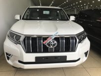 Toyota Prado VX 2019 - Bán Toyota Land Cruise Prado VX 2019, màu trắng, xe và giấy tờ giao ngay, LH 0906223838