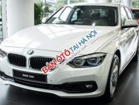 BMW 3 Series 320i 2018 - Bán BMW 320i đời 2018, màu trắng, nhập khẩu