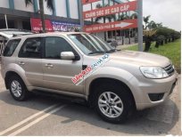 Ford Escape AT  2011 - Bán Ford Escape AT đời 2011 số tự động, 368 triệu