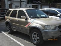 Ford Escape XLS 3.0 V6 2002 - Bán xe Ford Escape tự động - ảnh thật