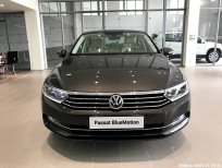 Volkswagen Passat BM 2018 - Cần bán Volkswagen Passat BM 2018, màu nâu, nhập khẩu chính hãng