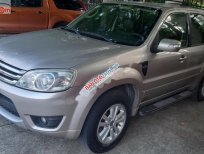 Ford Escape 2010 - Cần bán Ford Escape năm 2010, màu kem (be), chính chủ, giá 398tr