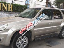 Ford Escape 2008 - Cần bán xe Ford Escape 2.3 AT đời 2008 số tự động