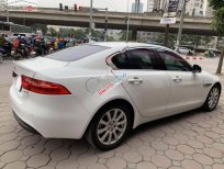 Jaguar XF 2016 - Cần bán gấp Jaguar XF sản xuất năm 2016, màu trắng, nhập khẩu