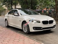 BMW 5 Series 2015 - Bán BMW 5 Series 520i năm 2015, màu trắng, xe nhập