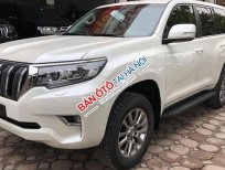 Toyota Prado VX 2018 - Toyota Thái Hòa - Bán Toyota Prado VX đời 2019, màu trắng, xe nhập