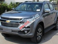 Chevrolet Colorado LTZ 2019 - Bán Chevrolet Colorado LTZ năm sản xuất 2019, màu xám, nhập khẩu, giá chỉ 789 triệu