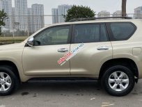 Toyota Land Cruiser Prado   TXL  2009 - Bán xe Toyota Land Cruiser Prado TXL sản xuất 2009, màu vàng, nhập khẩu nguyên chiếc