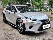 Lexus NX 300 2017 - Màu bạc