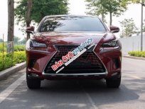 Lexus NX 300 2018 - Màu đỏ, nhập khẩu, chính chủ