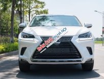 Lexus NX 300 2017 - Xe màu trắng