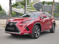 Lexus NX 300 2018 - Màu đỏ, nhập khẩu nguyên chiếc