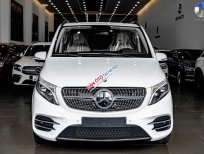 Mercedes-Benz V250 2022 - Xe nhập khẩu 7 chỗ
