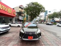 Lexus RX 300 2022 - Model 2023 (xanh, da bò), biển thành phố