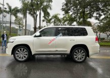 Cần bán Toyota Land Cruiser VX 4.6 V8 sản xuất năm 2020, màu trắng, xe nhập