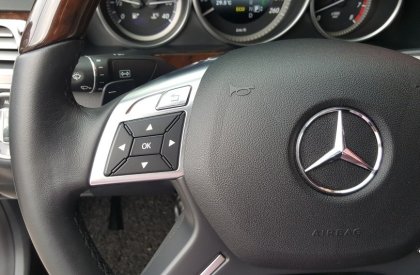 Mercedes-Benz E400 2014 - Bán Mercedes E400 năm 2014, màu bạc, xe nhập, chính chủ